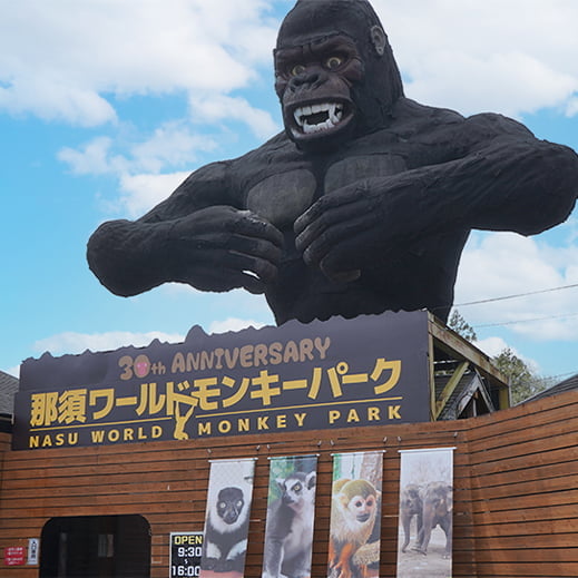 那須ワールドモンキーパーク