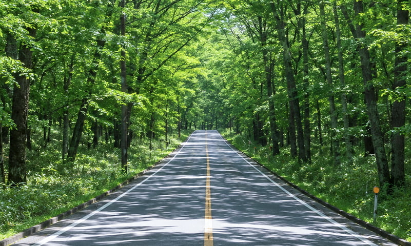Gufo那須に時折訪れる車の写真