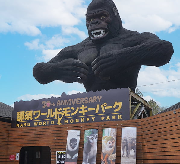 Gufo那須夜の周辺地域の風景写真